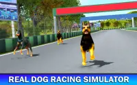 Pet Dog Run Simulator - Greyhound Racing Game Screen Shot 9