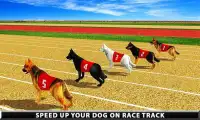 野生のグレイハウンド犬のレース Screen Shot 2