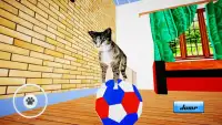 Cat Simulator : Kitten Screen Shot 0