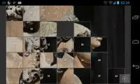 n Tile Puzzle Screen Shot 2