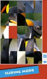 T-Puzzle: Animals in Love Screen Shot 3