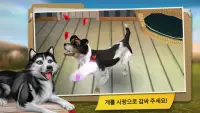 Dog Hotel 프리미엄 – 귀여운 강아지와 놀기 Screen Shot 2