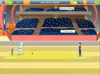 Indian Cricket Super League Screen Shot 8