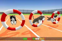 Cat Simulator Game 2020 :Kitty Running Screen Shot 8