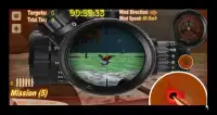 The Sniper: Birds Hunter Screen Shot 6