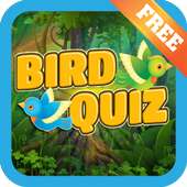 Birds Quiz