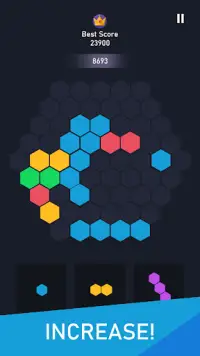 Block Hexa - Puzzle Game Screen Shot 2