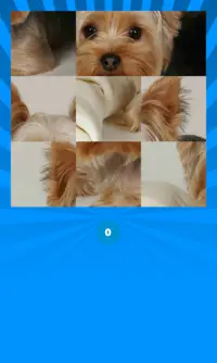 Quebra-cabeça de Cães Screen Shot 3