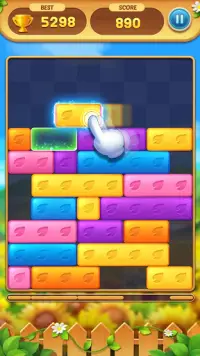 Dropdom - Sliding Block Puzzle Screen Shot 0