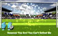 Prawdziwe 3D Soccer Goalkeeper Screen Shot 3