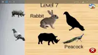 Animals Puzzles Screen Shot 1