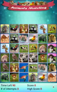 Çılgın Hafıza - Hayvanlar Screen Shot 15