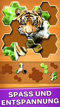 Puzzle Spiele (Deutsch) Screen Shot 2