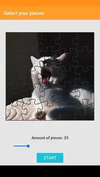 Cat Puzzle Screen Shot 2