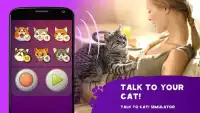 Talk to cat! Simulator Screen Shot 0