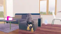 Rottweiler Dog Simulator Screen Shot 7
