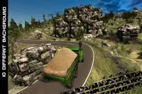 3D Offroad Truck Simulator : Monster Truck Driver Screen Shot 5