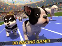 كلب جرو لطيف - الكلاب رياضة Screen Shot 3