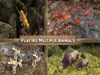 Wild Life Animals Adventure Screen Shot 6