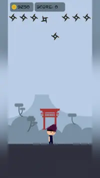 Ninja Challenge Screen Shot 1