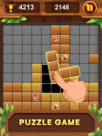 Wood Block Legend -  Block Puzzle Screen Shot 11