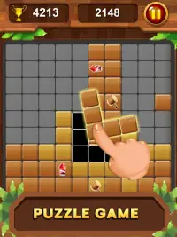 Hout blok Legende - Blokkeer Puzzel Screen Shot 11