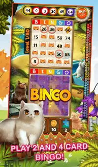Bingo Pets Mania: Cat Craze Screen Shot 1