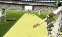 Cricket 2019 Screen Shot 2