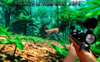 Deer Sniper Hunter 2016 Screen Shot 3
