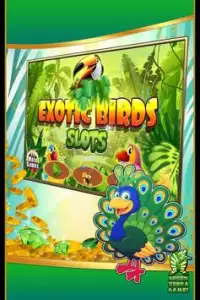 Exotic Birds Slots Screen Shot 0