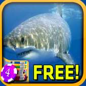 3D Shark Slots - Free