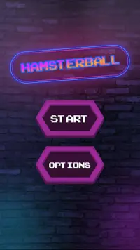 Hamsterball Screen Shot 0