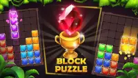 Block Puzzle 2020: Relax Game Screen Shot 0