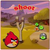 angry shoot