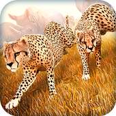 Wild Animal Simulator Games 3D