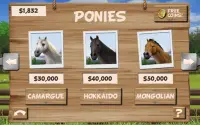 Pony Trails Screen Shot 10