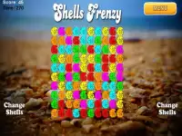Shells Puzzle Frenzy Screen Shot 3