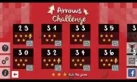 Arrows Challenge Screen Shot 1