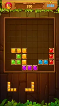 Block Puzzle Sudoku Screen Shot 0