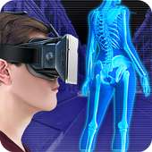 Virtuelle Helm X-ray-Witz