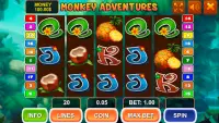 Monkey Adventures Slot Screen Shot 0