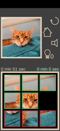 Collect The Cat Screen Shot 3