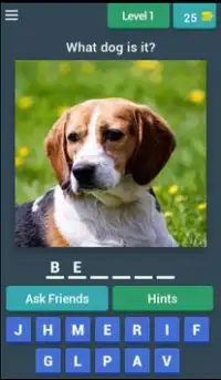 Guess The Dog Breed Quiz Screen Shot 0
