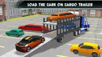 cargo Vliegtuig Sim 3D Screen Shot 2