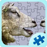 Fun Jigsaw Puzzles Games