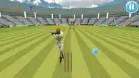 Cricket Bat Ball Hit 3D Screen Shot 1