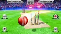 Wicket Hit Juego de Cricket Screen Shot 1