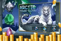 Arctic Tiger Slots Screen Shot 0