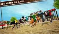 Dog Race & Stunts 2016 Screen Shot 8