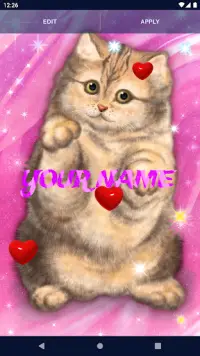 Cute Fluffy Cat Live Wallpaper Screen Shot 1